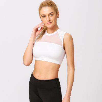 China Mesh Patchwork Seamless Sports Bra Antibacterial Women Yoga Quick Dry White Vest for sale