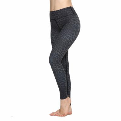 China Breathable Wholesale Ladies Leopard Print Capri Pants Custom Made Yoga Pants In Stock for sale