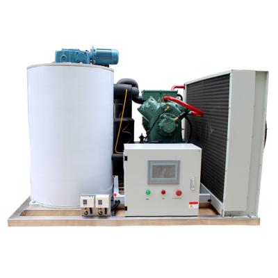 China Industrial 3000kg 5000kg 10 ton high reliable easy control air cooling flake ice machine for fish for sale