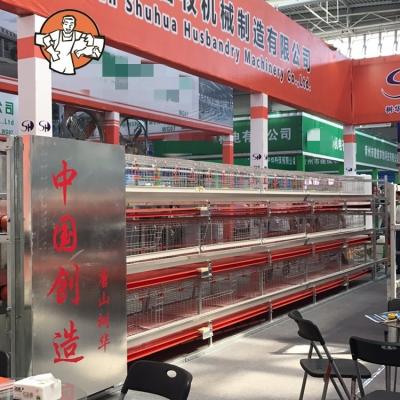 China Automatic Farms Broiler Poultry Farm Cage Broiler Cage System Cage For Broiler for sale