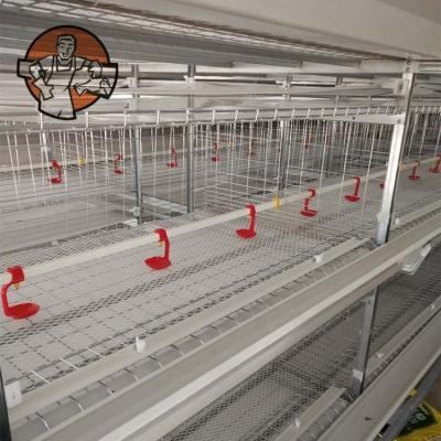 China Fully Automatic Farms Broiler Cages Project for sale