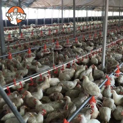 China Farm High Sensitivity / Drinking System Automatic Chicken Water System Drinkers Favorable Nipple For Chicken Feed for sale