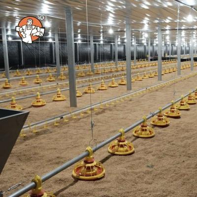 China Automatic Farm Floor Farm Floor System Ground Feeding And Drinking System for sale