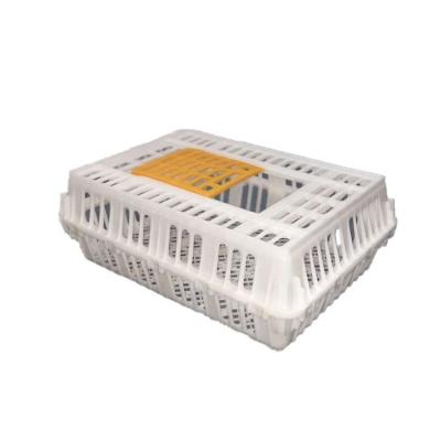 China Farms Fengmu SHF01T-5 2020 New Design Live Chicken Transport Bird Crate for sale