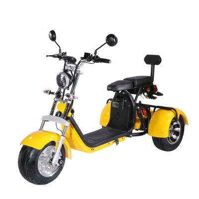 China New 1000w tire 1000w electric bicycle citycoco electric vehicle fashionable lithium battery three wheel wide electric adult battery for sale