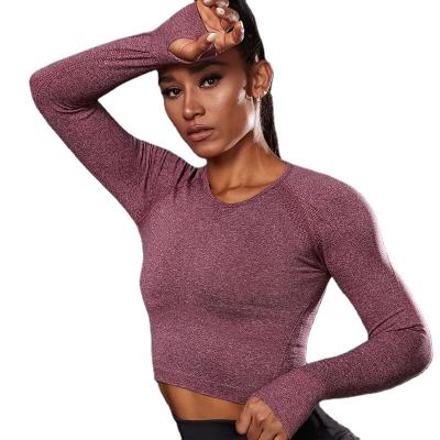 China High Quality Anti-UV Shape-enhancing Women's Crop Tops Yoga Fitness Gym Sports Seamless T-Shirts for sale