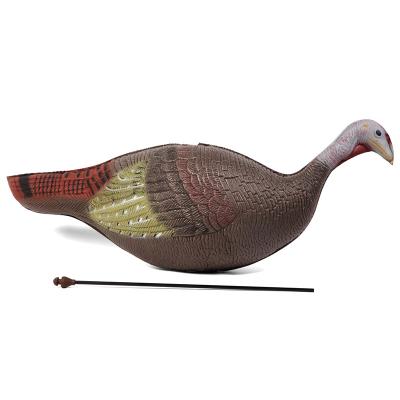 China Realistic folding decoy stocked outdoor hunting EVA strutter decoy jake turkey decoy for sale