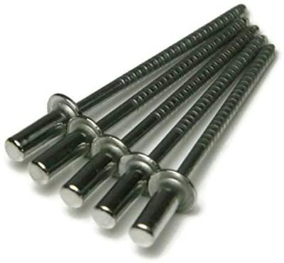 China 304/420 stainless steel plugged blind rivets sealed type pop rivet pop rivet for sale