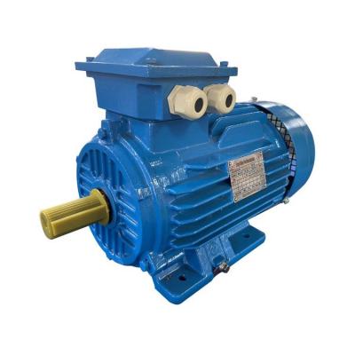 China IP55 YE4 IE4 Totally Enclosed Series Three Phase Asynchronous Induction AC Motor Energy Saving Motor For Industrial Use for sale