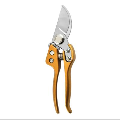 China Anti-Slip Bonsai Pruning Handle Shears Pruner Pruner Garden Scissors Garden Tool Curved Scissors for sale