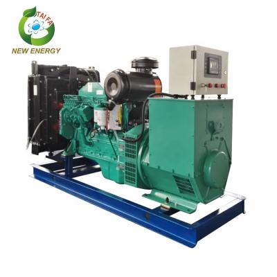 Cina Best China Diesel Generator Brands Water Cooled Diesel Generators TFC120GF in vendita