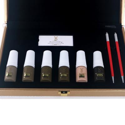 China Microblading Makeup Pigment Kit Machine Kit For Academy Hot Selling Customized Lifelong Learning for sale