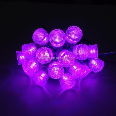 China AlGaInP 5V 12V 24V full color pixel led light WS2811 20mm pixel led for fairgrounds for sale