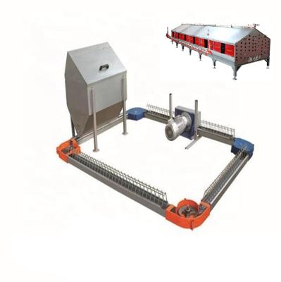 China Save Breed Cost Galvanized Feeding Floor Chain System Broiler Broiler Breeder Feeder Breeder Equipment for sale