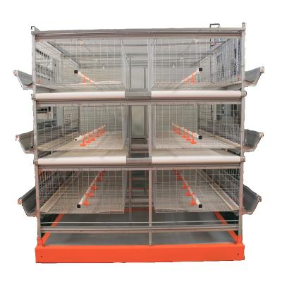 China Commercial Chicken Feeding China High Quality Automatic PLC Motor Control Broiler Cage System Broiler Chicken Cage for sale