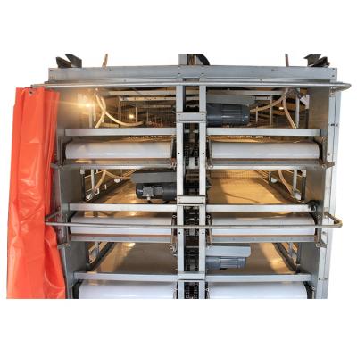 China Complete Automatic Broiler Cage System Automatic Drinking Poultry Feeding Cage For Broiler for sale