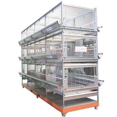 China Fully Automatic Full System Battery Egg Breeder Cage Poultry Cages For Layer Chickens for sale