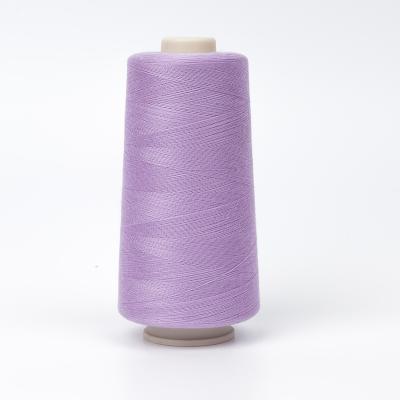 China High Tenacity Oeko-Tex100 1 Class 100% Polyester Sewing Yarn For Baby Casting Kit for sale