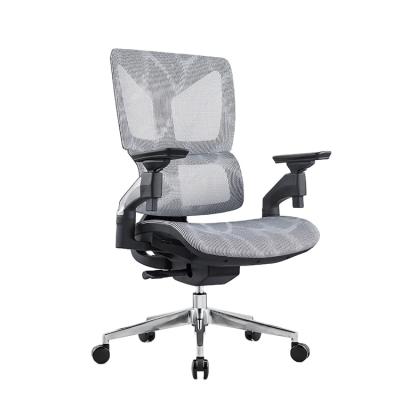 China Single Chair Gray Modern Mid-Back Ergonomic Office Mesh Chair Swivel (Height) Economic Adjustable Office Chair for sale