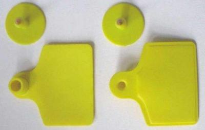 China rfid uhf big size animal ear tag for cattle for sale