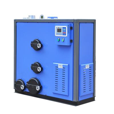 China Low temperature BIDRAGON 50kg vertical to home 500kg pellet steam boiler outlet wood pellet boiler for sale for sale