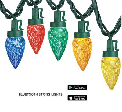 China Smart LANDSCAPE 9.9m RGB string light PI44 function wifi led string lights C6 c9 led christmas lights string for sale