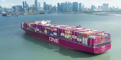 China Door-to-Door Qingdao to Lithuania Transport Logistics Services by Sea for sale