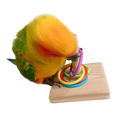 Κίνα G-210819-2 Bird toys for training brain development playing entertainment for love birds προς πώληση