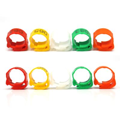 Chine Geshifeng Poultry Plastic Adjustable Chicken Foot Rings Custom Number No.001-100 Buckle Ring Duck Goose Leg Digital Rings à vendre