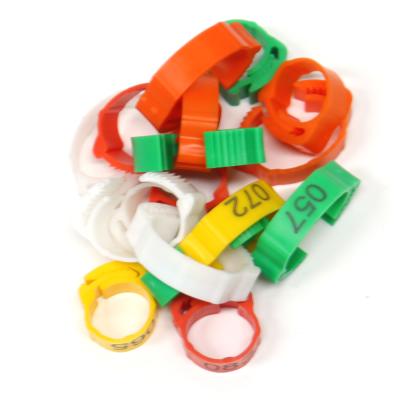 Cina Geshifeng Duck Goose Adjustable Chicken Foot Rings Custom Number No.001-100 Poultry Buckle Ring Plastic Leg Digital Rings in vendita