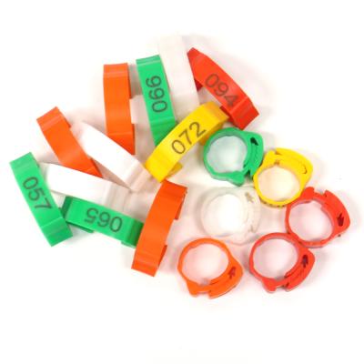 Chine Geshifeng Plastic Multi-Size Adjustable Chicken Foot Rings Number No.001-100 Poultry Buckle Ring Duck Goose Leg Digital Rings à vendre