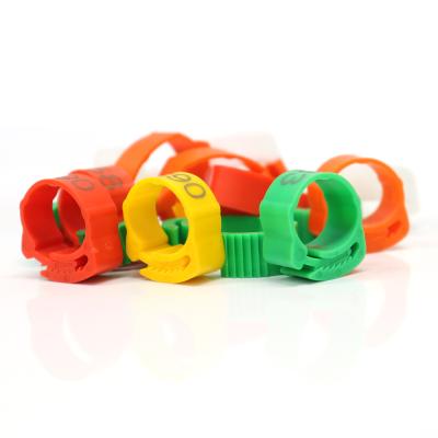 China Geshifeng Plastic Adjustable Chicken Foot Rings Customized No.001-100 Name Poultry Buckle Ring Duck Goose Leg Digital Rings en venta