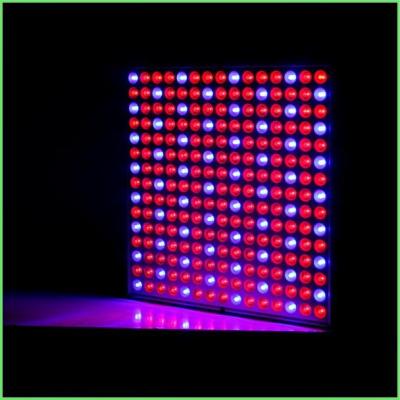 China IP54 Indoor LED Grow Lights / ABS Full Spectrum Plant Grow Lights 32 W For Greenhouse for sale