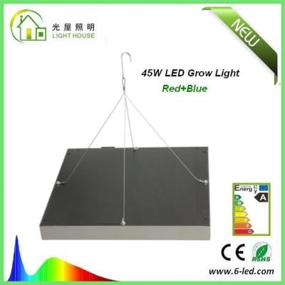 China La planta impermeable del ahorro de la energía LED crece luces/el LED hidropónico crece las luces 3W - 120W en venta