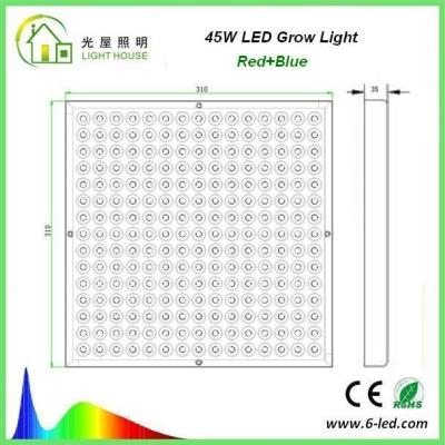 China 8W Hydroponic Blauwe/Rode LEIDENE Lichten voor het Kweken van Installaties binnen, 3 Jaar Garantie Te koop