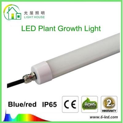 China Hydroponic LED Tube Grow Lights T8 With Rotatable End Cap , 120 Degree Angle for sale