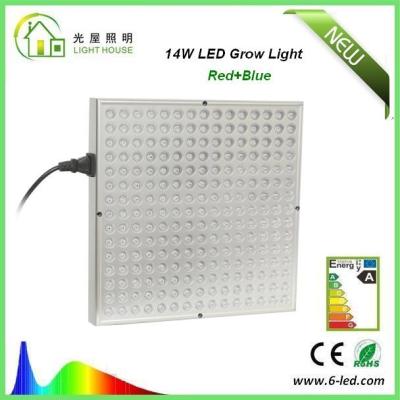 Chine La culture hydroponique LED d'intérieur de 14 W élèvent des lumières pour fleurir/fleurissant, la fréquence 50~60Hz à vendre