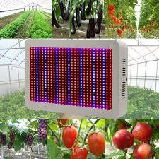 China High Tech Dimmable LED Grow Lights Indoor With 50～60Hz Frequency for sale