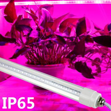 China Professional Blue / Red LED Tube Grow Lights For Plant Growth , 18W Power for sale