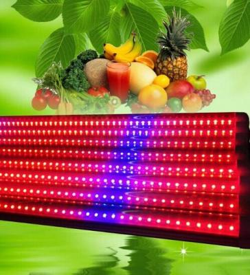 Chine Les lumières croissantes T8 18w de mauvaise herbe de 120 degrés LED, élèvent la barre légère de bandes écologique à vendre