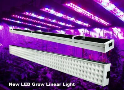 China 4 Feet Linear Hydroponic Led Grow Lights Bar 120w For Greenhouse , 50Hz-60Hz for sale