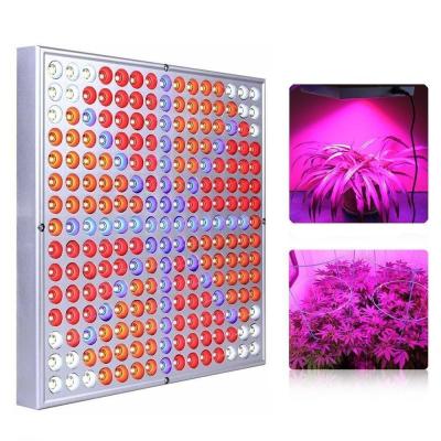 China 150w Dimmable Led Hydroponic Grow Lights For Greenhouse IP65 , Super Brighteness for sale