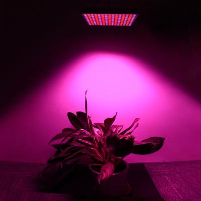 China Aluminum Material Led Indoor Garden Lights For Bananas / Flowers , AC85-265V for sale