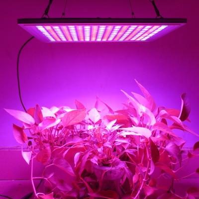 China 45 Watt Waterproof LED Grow Lights Panel Dimming Switch For Indoor Plants Seeding for sale