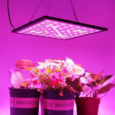 China 300x300mm Indoor Full Spectrum LED Grow Lights Dimmable With 3000K-6500K CCT for sale