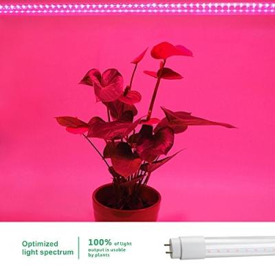 China 4 Foot Clear Shell Led Grow Lamps For Indoor Plants , 50~60Hz Frequency for sale