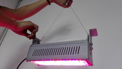 China High Power Full Spectrum LED Grow Lights For Medical Marijuana , Aluminum Cover for sale