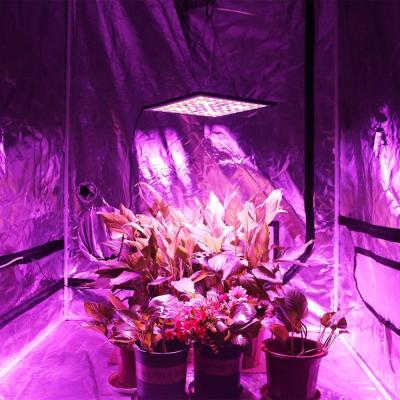 China Hydroponic LED Plant Grow Light , 300W Full Spectrum Lamp for Greenhouse for sale