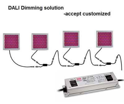 China DALI Dimming Indoor Plant Grow Lights HPS Equivalent For Vertical Farm for sale