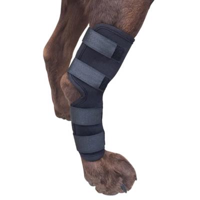 China Surgical Protector Support Dog Leg Pet Neoprene Wound Protector Heal Compression Brace Pet Knee Brace for sale